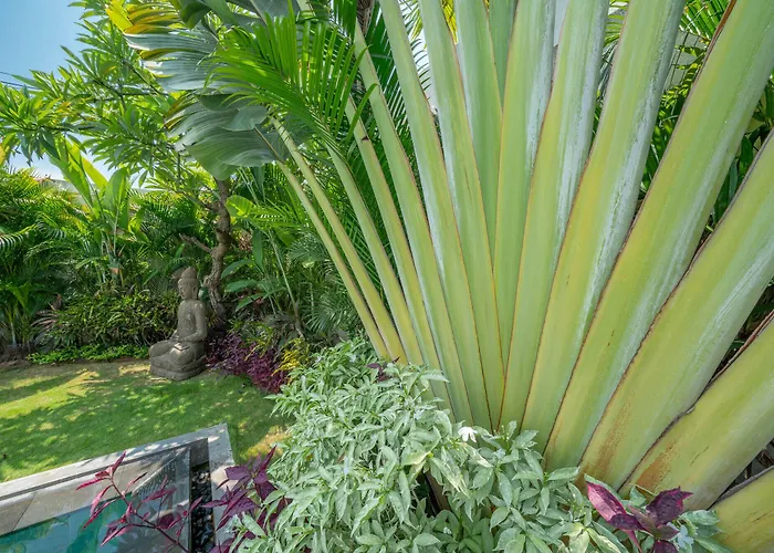 Tira - Elegant 3br In * Seminyak